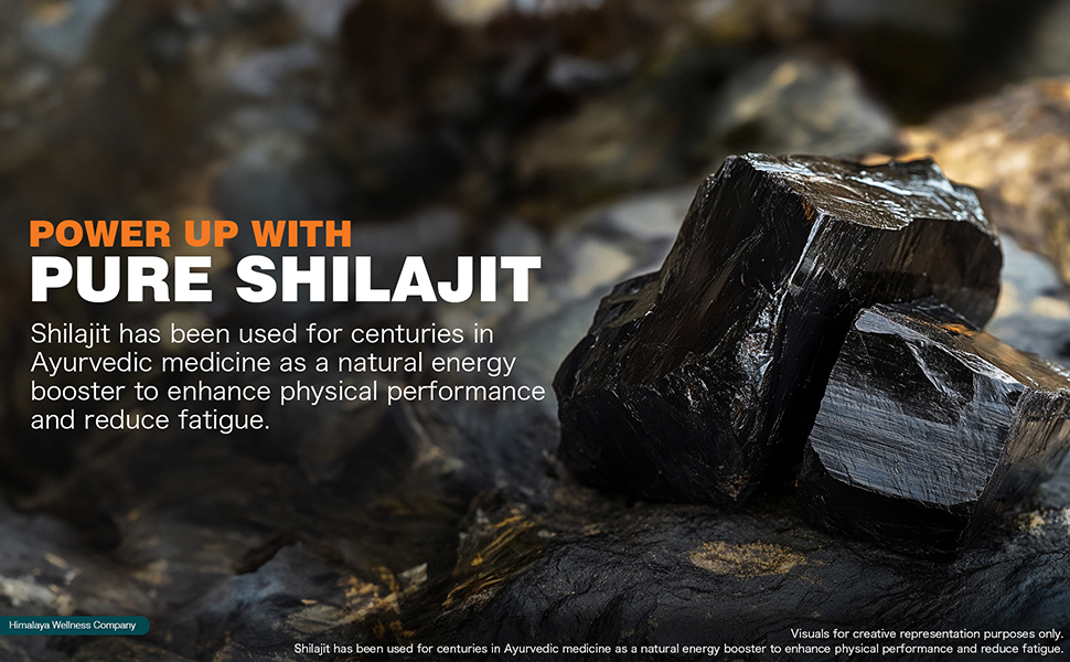 Himalaya Shilajit Capsule|60s|Enhances Stamina,Energy and Power|Supports Healthy Testosterone Levels
