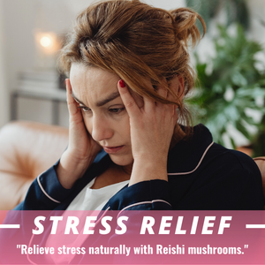 Humming Herbs Reishi Mushroom supplement Reishi, Chaga, Turkey Tail, Maitake, Shiitake, Enoki, and Agaricus| 7in1 Immune Support Formula, 5480mg eqv - 90 cap