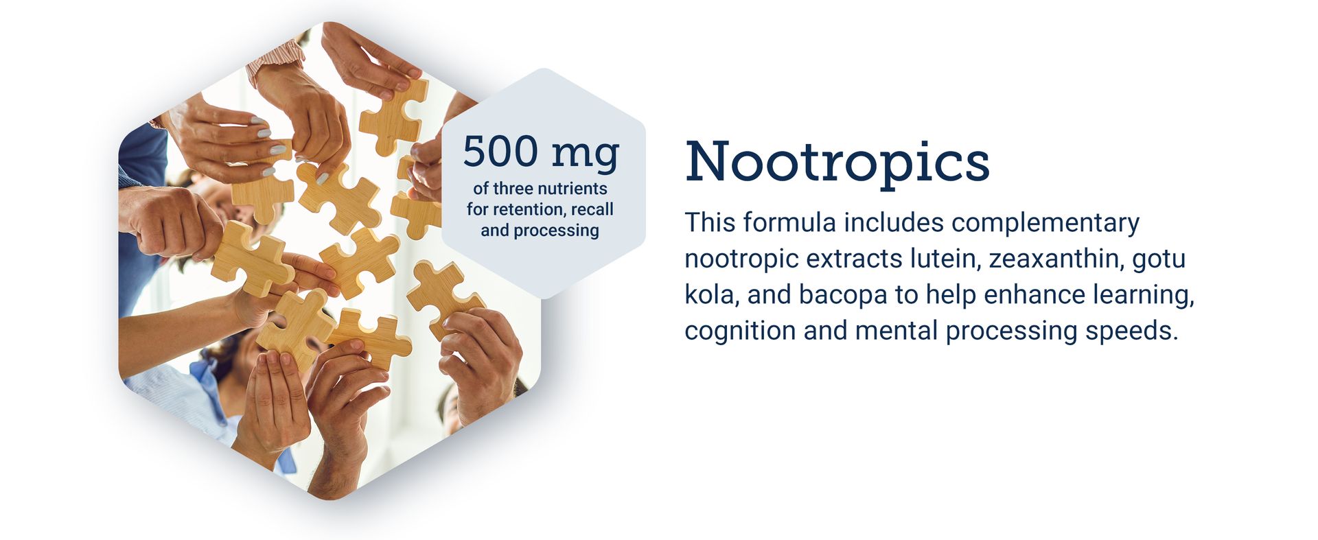 Life Extension Quick Brain Nootropic, Fast Thinking and Focus, 30 Capsules