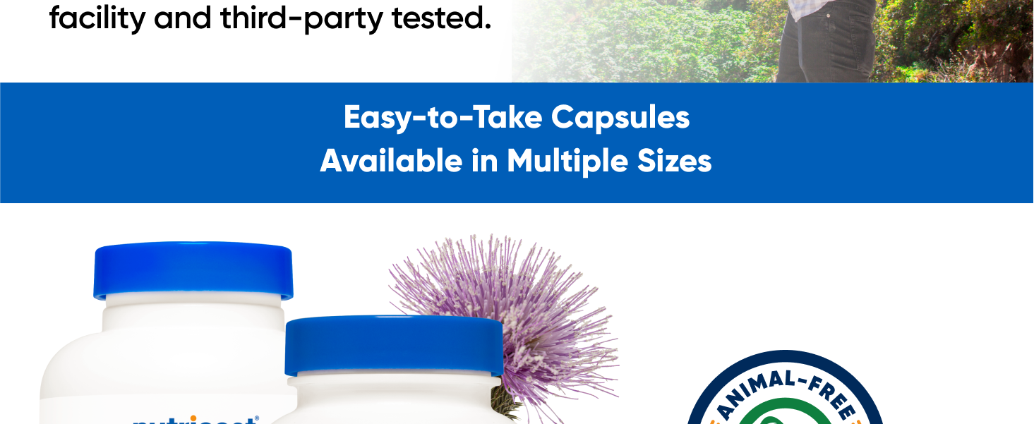 Nutricost Milk Thistle Extract 240 Capsules, 240 Servings, Gluten Free