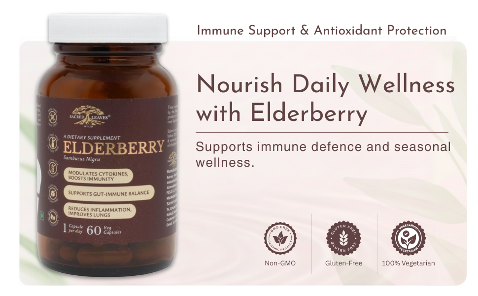 Elderberry Extract 500 mg, Immune Support Supplement