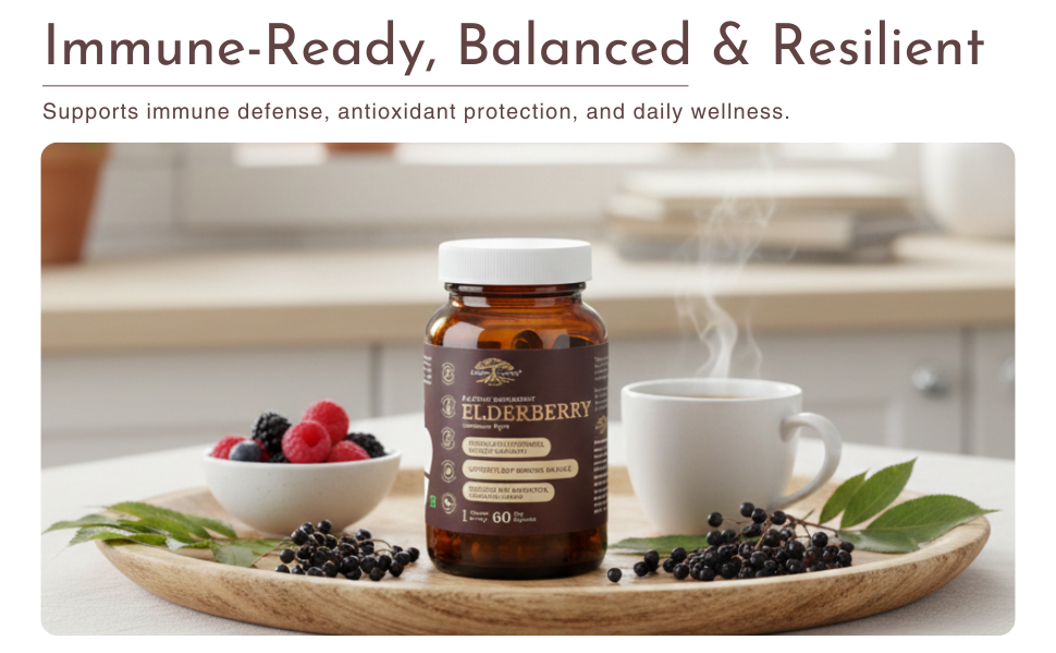 Elderberry Extract 500 mg, Immune Support Supplement
