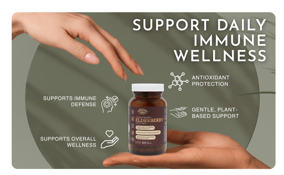 Elderberry Extract 500 mg, Immune Support Supplement