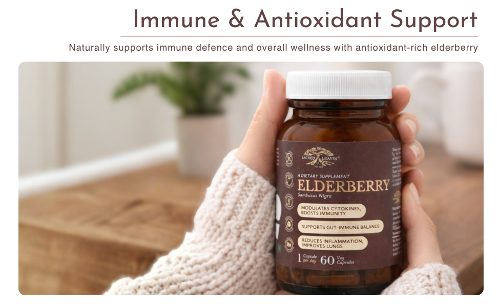 Elderberry Extract 500 mg, Immune Support Supplement