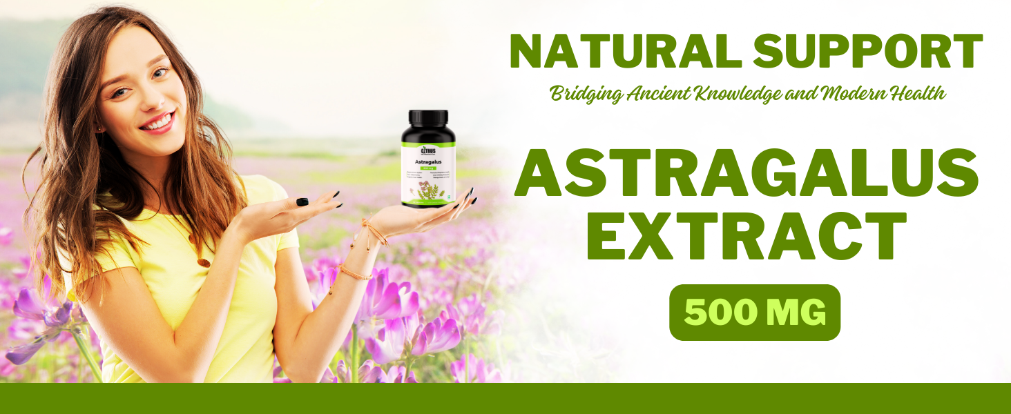 Astragalus Root Extract 500mg