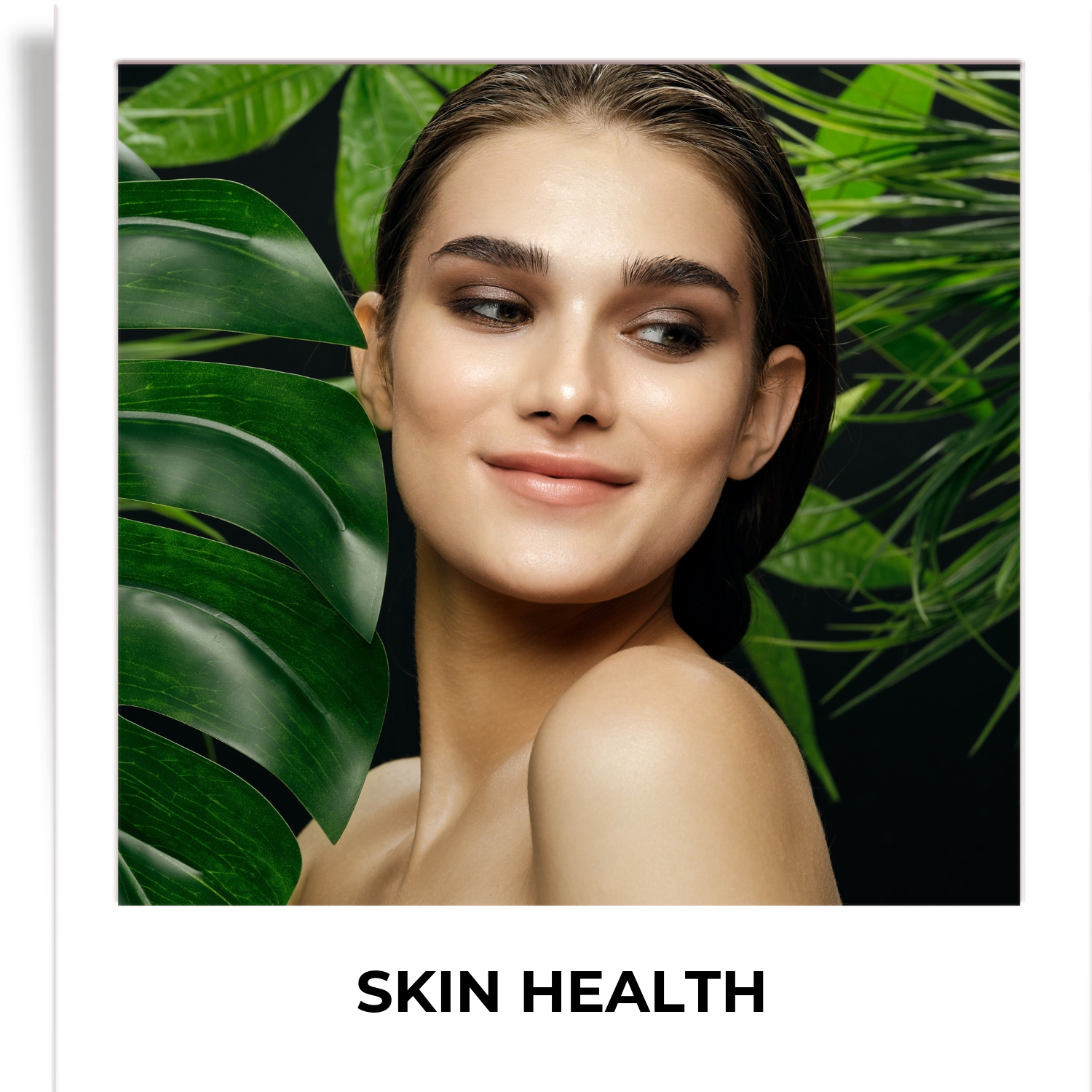 Humming Herbs Astaxanthin Plus with Coenzyme Q10 & Berberis Aristata for Great Antioxidant Support - Promotes Skin Health, Eye Protection & Joint Comfort