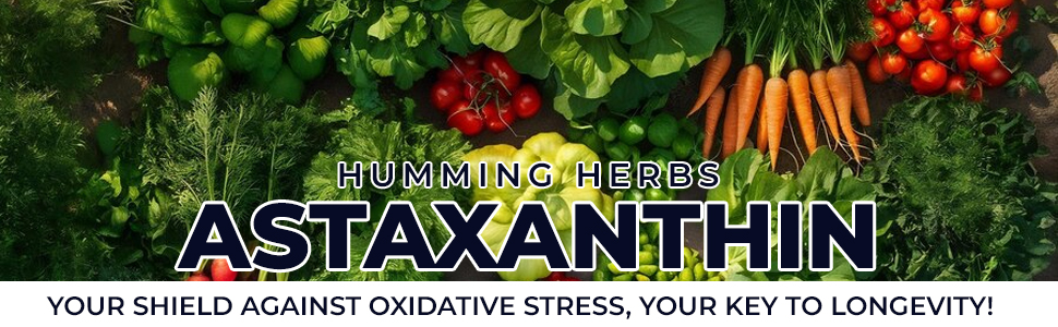 Humming Herbs Astaxanthin Plus with Coenzyme Q10 & Berberis Aristata for Great Antioxidant Support - Promotes Skin Health, Eye Protection & Joint Comfort