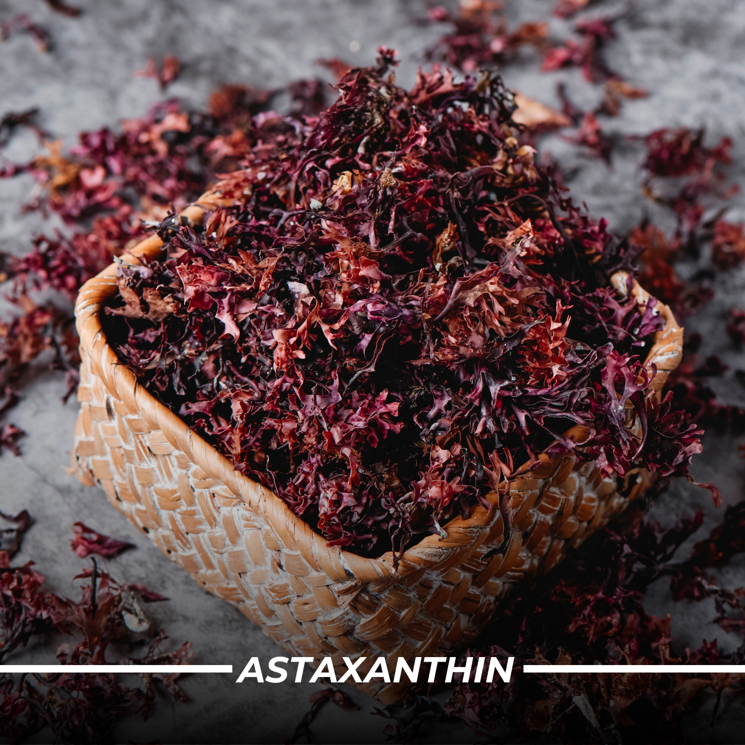 Humming Herbs Astaxanthin Plus with Coenzyme Q10 & Berberis Aristata for Great Antioxidant Support - Promotes Skin Health, Eye Protection & Joint Comfort