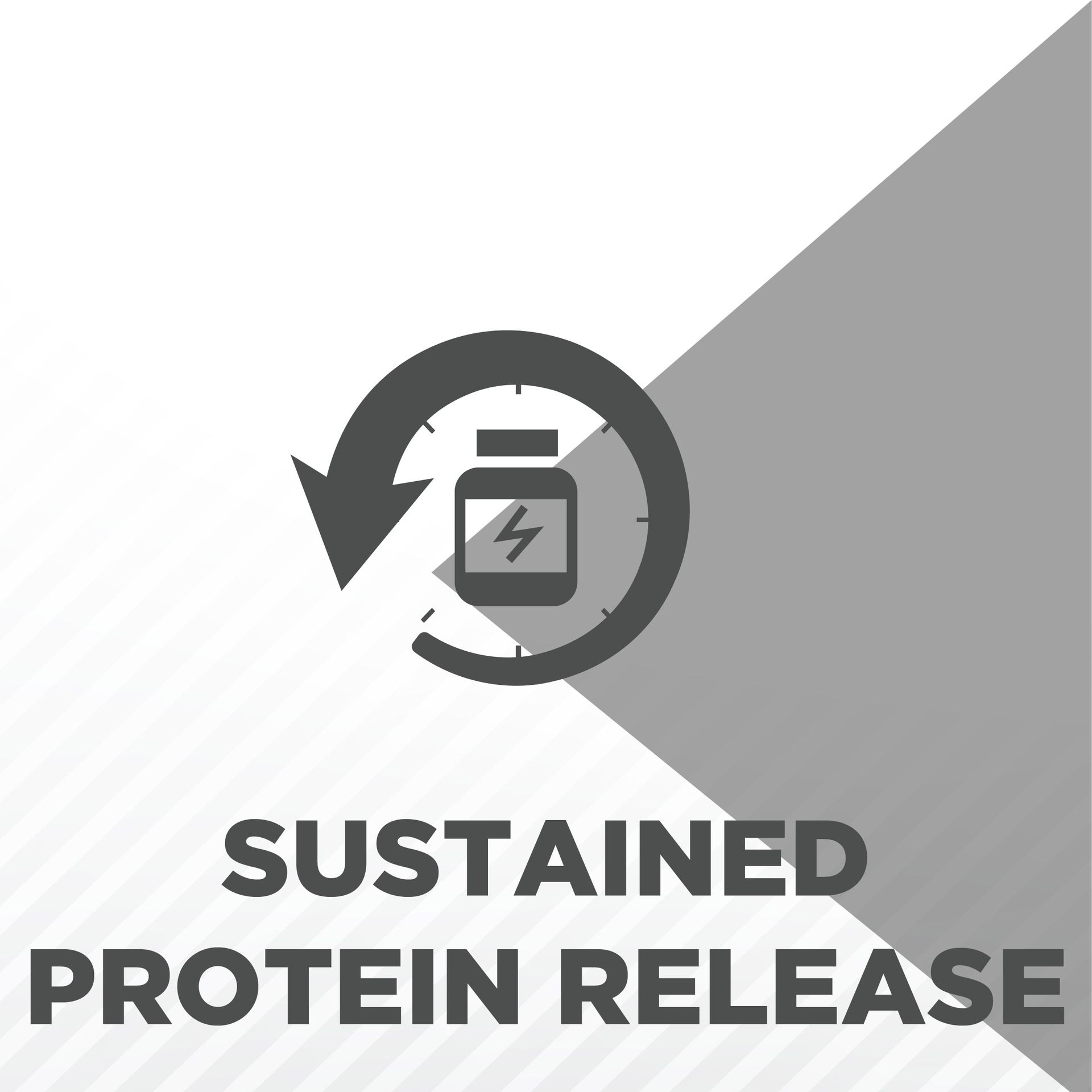 MuscleBlaze 100% Micellar Casein, Chocolate, 1kg (2.2lbs)
