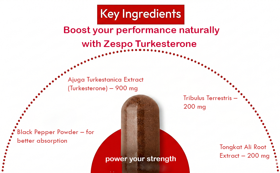 Zespo Turkesterone 1300mg Supplement for Men with Tongkat Ali, 60 Caps