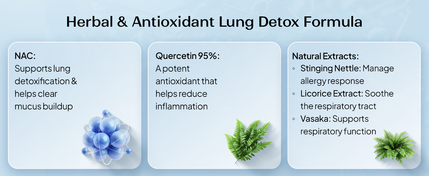 Miduty Lung Detox - NAC Supplement 400 mg N- Acetyl Cysteine, Stinging Nettle 100 mg & Quercetin -Lungs Protective & Respiratory Health - 60 Veg Capsules