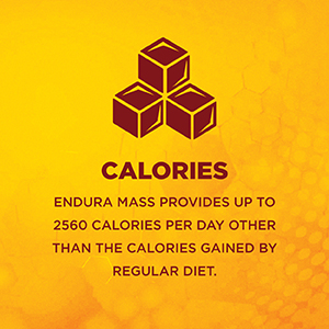Endura Mass Weight Gainer 1000 g Vanilla Flavour | Unique blend of 3 sources of protein, carbs, vitamins & essential minerals | Ideal for Children above 10 years, men, women & athletes.
