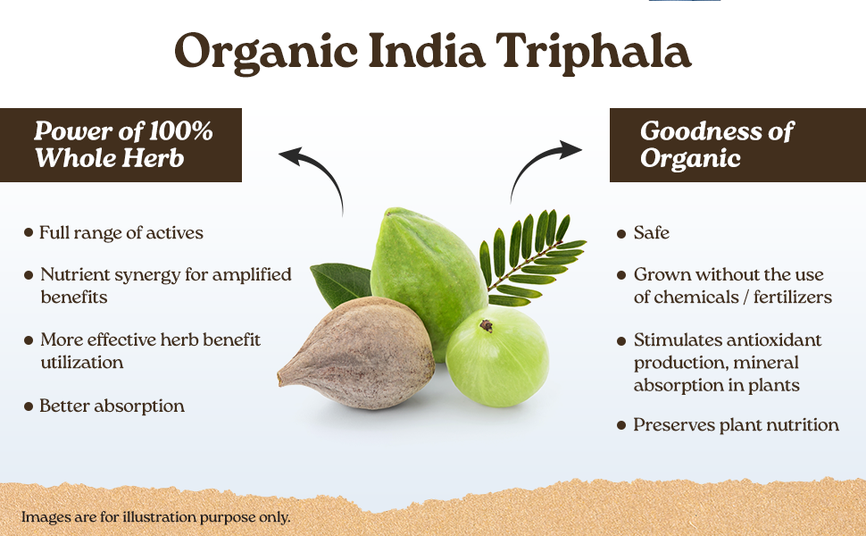 A TATA Product - Organic India Triphala Powder - 100g, Supports Immune System, Colon & Digestion, For Balanced Bowel & Gut Health, Contains Bioactives and Antioxidants, GMP & NPOP Certified Organic