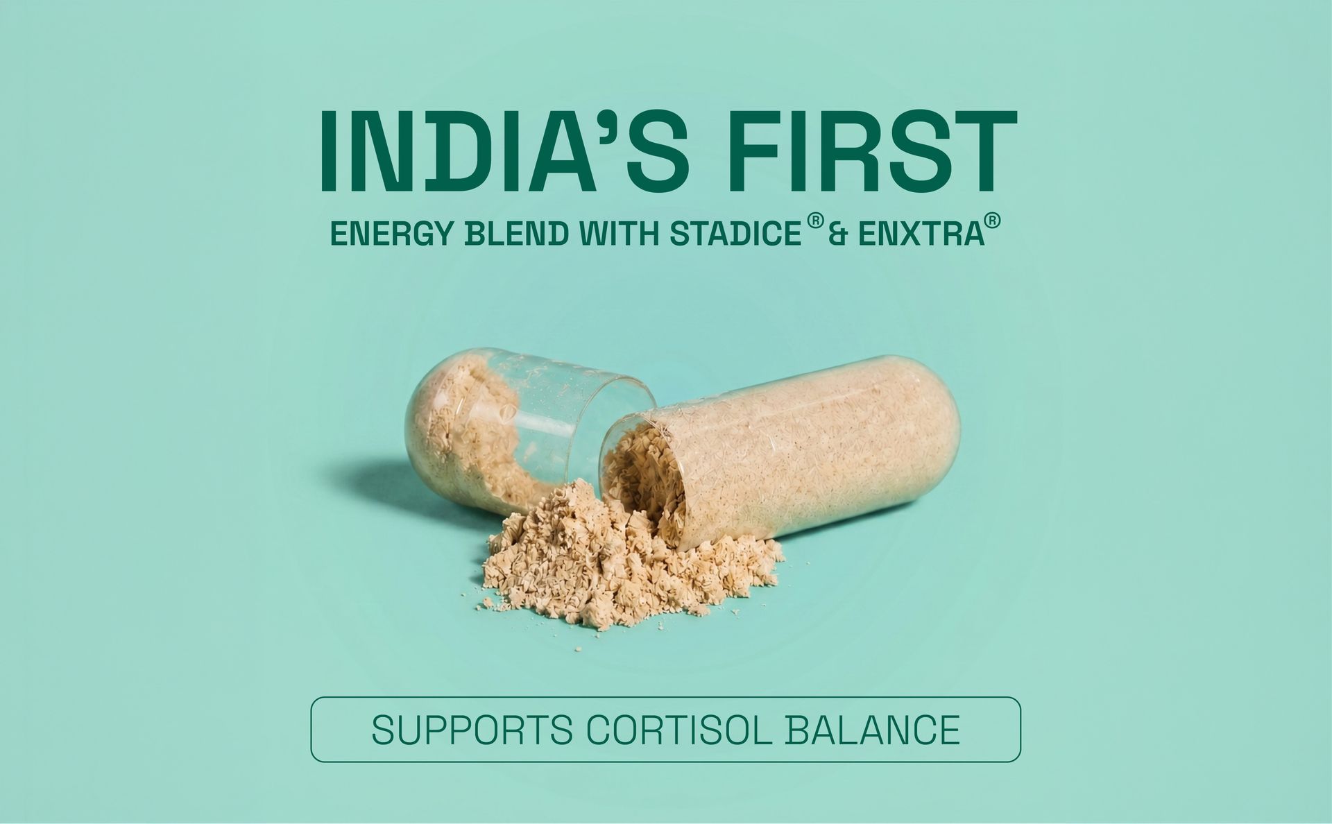 Calm Energy Capsules | Caffeine-Free Mental Energy & Focus Support | Natural Daily Nutraceutical Supplement for Adults | 30 Capsules