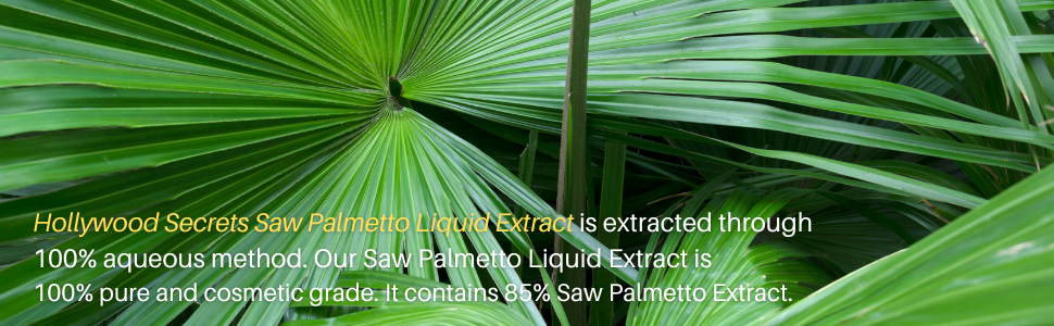 Pure 85% Saw Palmetto Liquid Botanical Extract| Anti-dandruff | Thick Hair | Hair Growth |100ml
