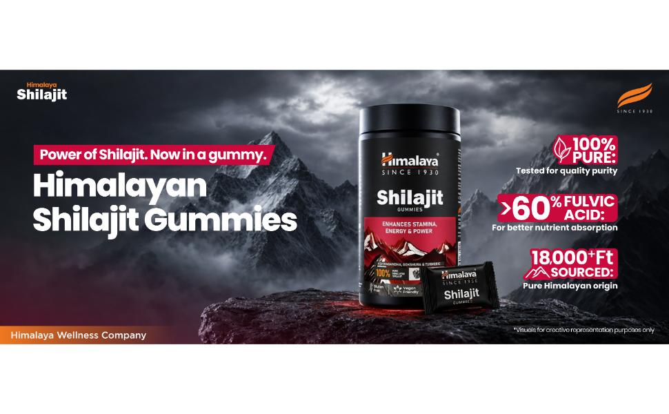 Himalaya Shilajit Gummies with KSM-66 Ashwagandha, Gokshura & Turmeric | Supports Energy, Stamina & Performance | 100% Pure Himalayan Shilajit | Pack of 60