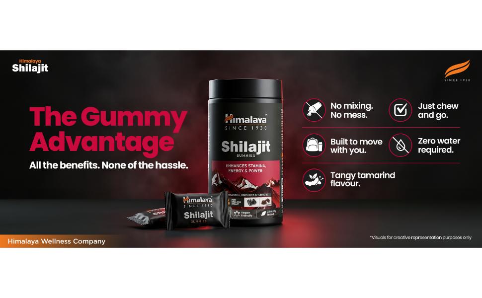 Himalaya Shilajit Gummies with KSM-66 Ashwagandha, Gokshura & Turmeric | Supports Energy, Stamina & Performance | 100% Pure Himalayan Shilajit | Pack of 60