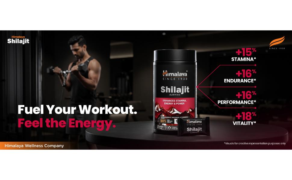 Himalaya Shilajit Gummies with KSM-66 Ashwagandha, Gokshura & Turmeric | Supports Energy, Stamina & Performance | 100% Pure Himalayan Shilajit | Pack of 60