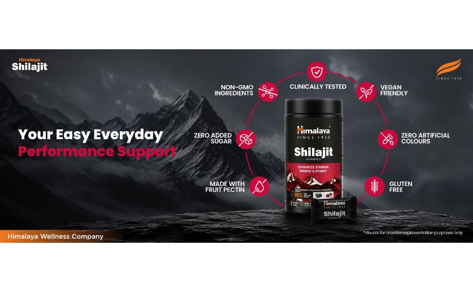 Himalaya Shilajit Gummies with KSM-66 Ashwagandha, Gokshura & Turmeric | Supports Energy, Stamina & Performance | 100% Pure Himalayan Shilajit | Pack of 60