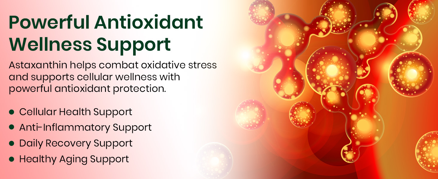 Vlado’s Himalayan Organics Naturally Sourced Astaxanthin 4mg Supplement | Supports Antioxidant Brain,Eye & Skin Health | Improves Muscle Endurance & Recovery, Builds Immunity - 60 Veg Capsules