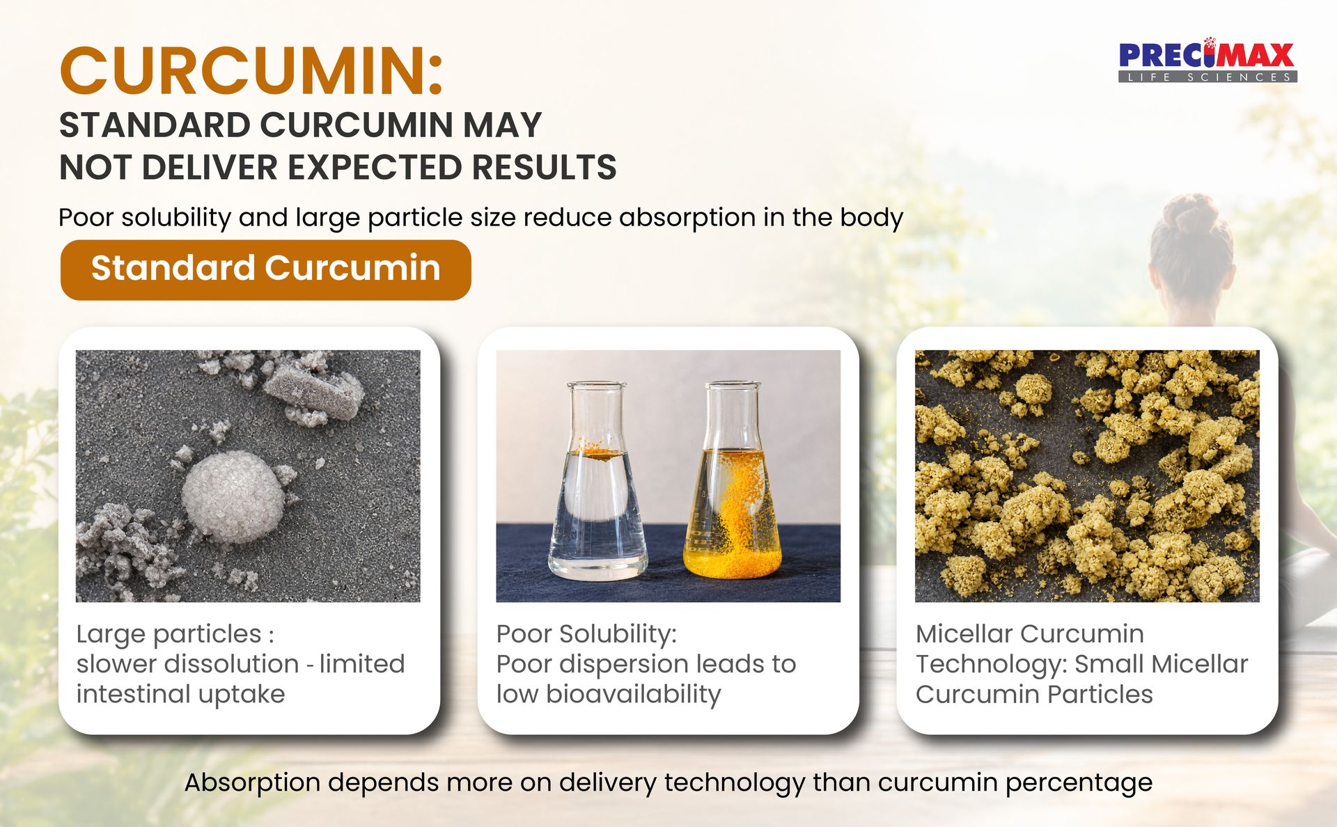 Precimax Life Sciences Curcumin Capsules, Natural Curcumin Nano Supplement for Joint Health & Immunity; Potent Antioxidant and Anti-Inflammation 500mg