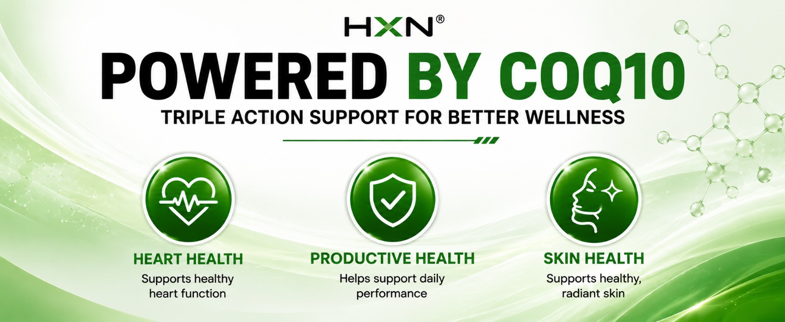 HXN Coq10 Supplement, Coenzyme Q10 (High Strength Ubiquinol 300mg) With Omega 3, Alpha Lipoic Acid To Boost Antioxidant, Cellular Energy, and Heart Health-120 Tablets