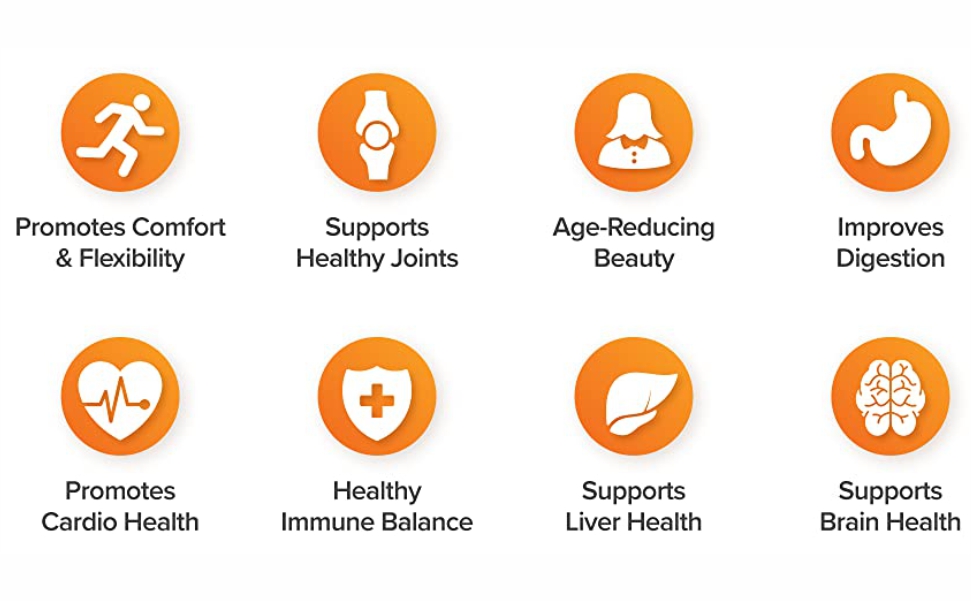 HXN Curcumin Tablets With Piperine (Bioperine), Turmeric Powder (95% Curcuminoids), Ginger, Vitamin C, Zinc, COQ10 For Immunity Booster And Antioxidant Supplement–60 Tablet (No Capsules Pack1)