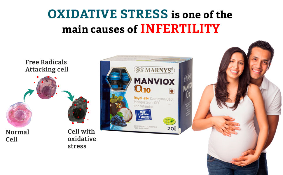 Marnys Manviox Q10 | Premium Antioxidant, anti-ageing and fertility support supplement for both men & women with Co-enzyme Q10, Royal Jelly,vitamins, folic acid & Biotin| 20 drinkable vials