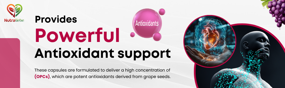 OPC Grape Seed Extract Capsules - Minimum 95% OPCs, Powerful Antioxidant Support, 90 Capsules