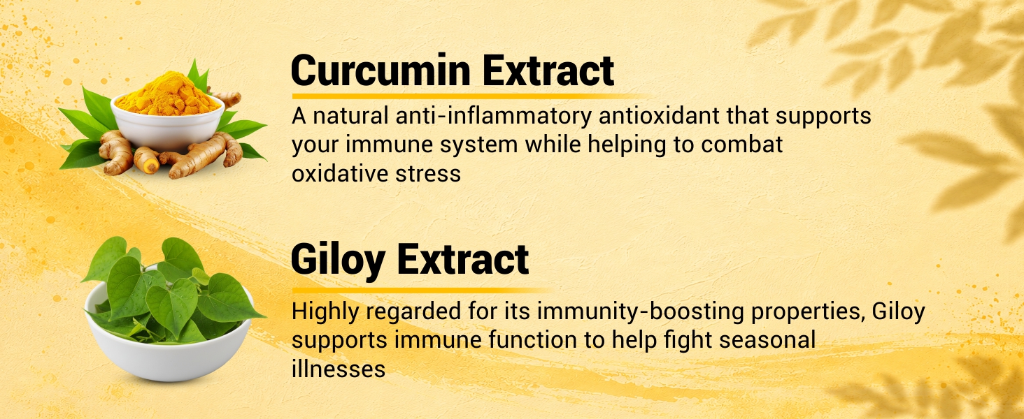 NutraStore Immunity Booster Men & Women | 6 Veg Capsules (Pack of 2) | Vegetarian Immunity Support Capsules | Curcumin, Giloy, Amla, Moringa, Ginger, Orange & Piperine | Natural Defense Support