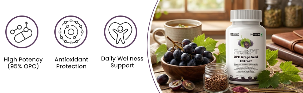 (LeeWell) OPC Grape Seed Extract 500mg with 95% Oligomeric Proanthocyanidins Supplement, Support Lower Blood Pressure & Blood Flow circulation -60 Capsules