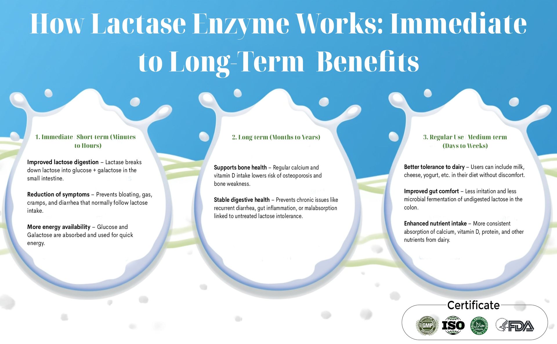 Lactase Enzyme 90 Vegetarian Capsules | 9000 FCC ALU | Extra Strength | Supports Lactose Digestion | Improves Daily Tolerance | Helps in Gas, Bloating, Diarrhoea | 90 Vegetarian Capsules