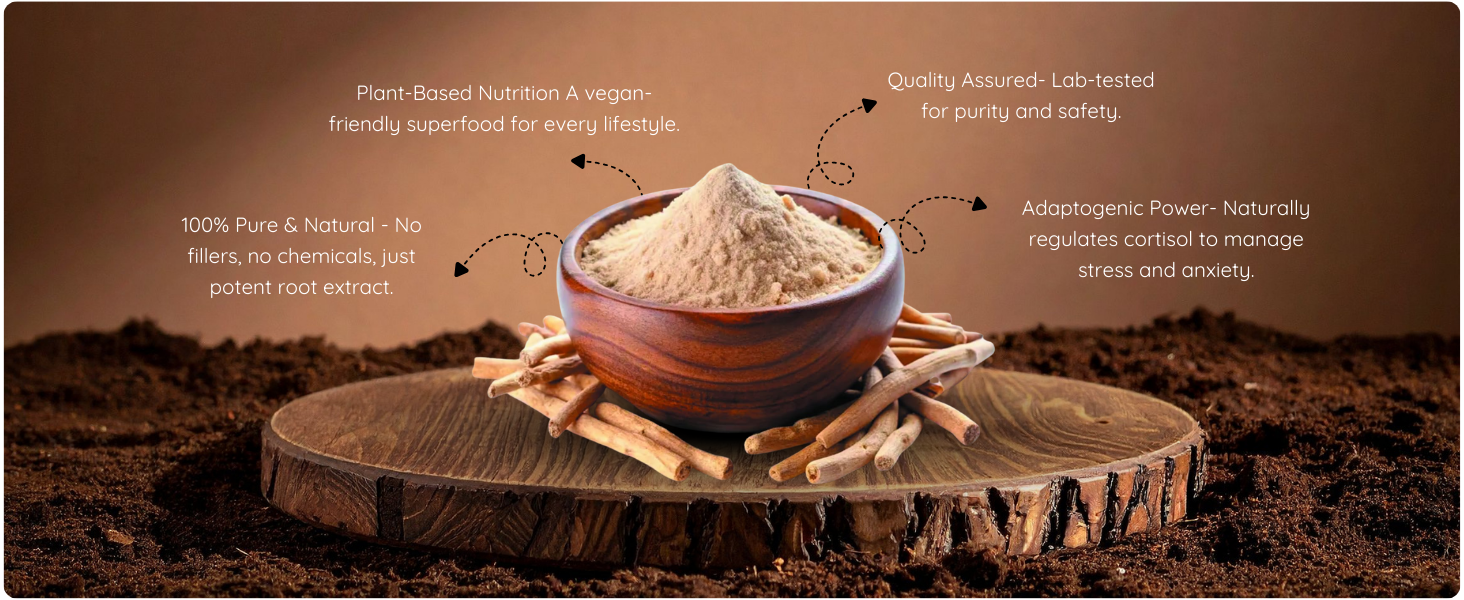 Ashwagandha Powder - 100 gram Supports Stress Relief, Energy Boost, Muscle Recovery & Vitality - Natural Adaptogen for Immune Support & increase Stamina