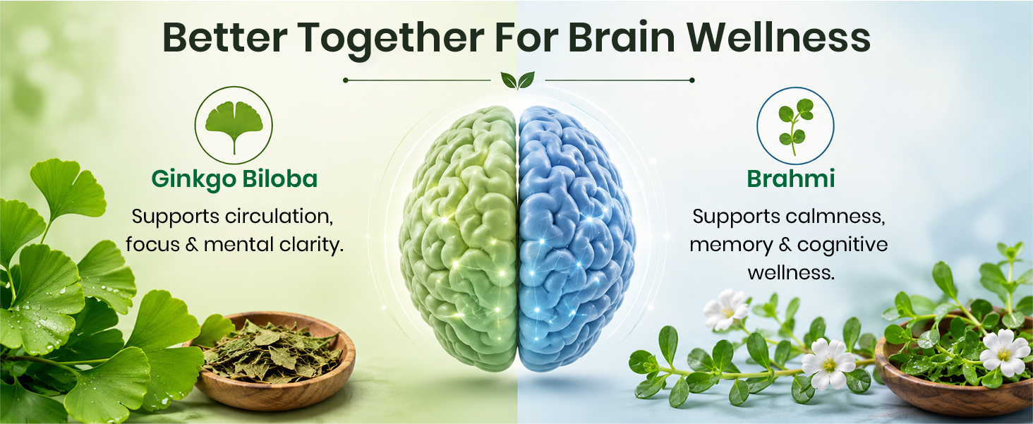 Vlado’s Himalayan Organics Ginkgo Biloba 500mg With Brahmi for Better Concentration, Memory & learning | Helps Anxiety & Stress | Healthy Blood Circulation - 60 Veg Capsules