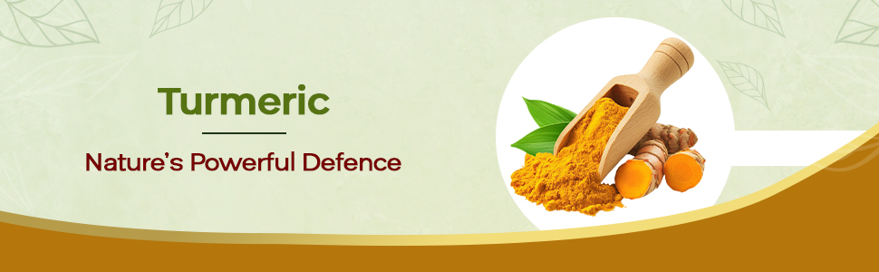 Baidyanath Haldi Tablets - 60 Tablets (Pack of 2) | Ayurvedic Turmeric Supplement | With Haridra Extract | Supports Skin, Immunity & Liver Function |