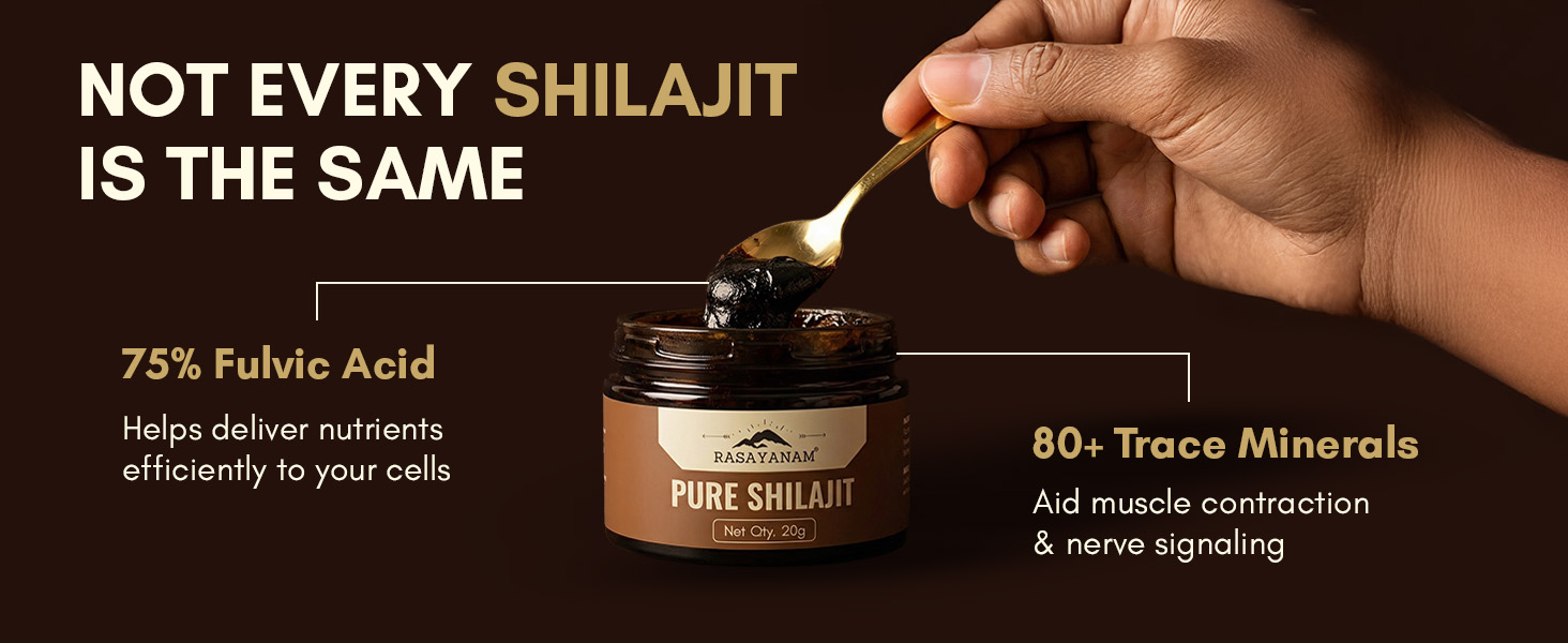 Rasayanam Pure Himalayan Shilajit Resin | Highly Purified with 75% Fulvic Acid & 80+ Trace Minerals | Supports Energy, Stamina, Strength & Recovery | 20 gm