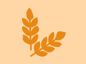 PLIX - THE PLANT FIX Isabgol Orange Burst| Improve Digestive Health And Gut Cleanse| Psyllium Husk Powder| No Added Preservatives OR Sugar| 60 Days Serving