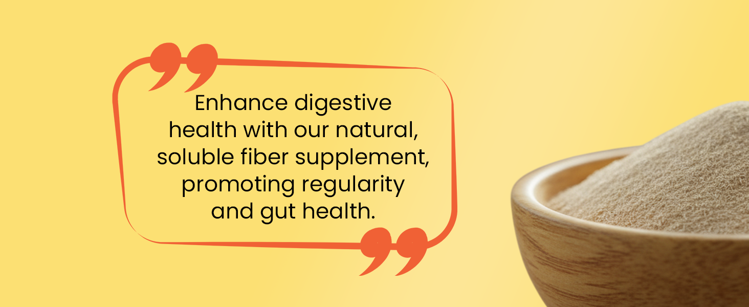 Baidyanath Asli Ayurved Isabgol, 50gm - Psyllium Husk Powder| Boosts Digestion | Constipation Relief Naturally | Rich Source Of Dietary Fiber Supplement