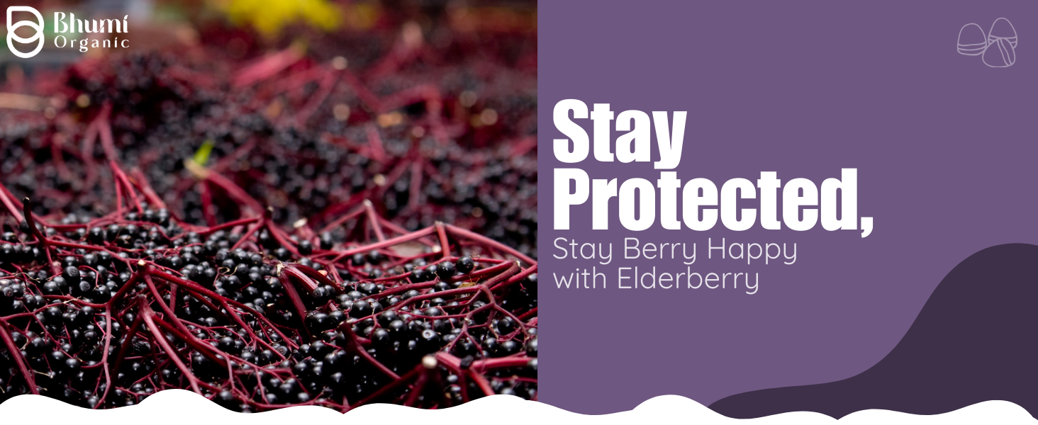 Elderberry Gummies, 60 Count, Berry Flavored
