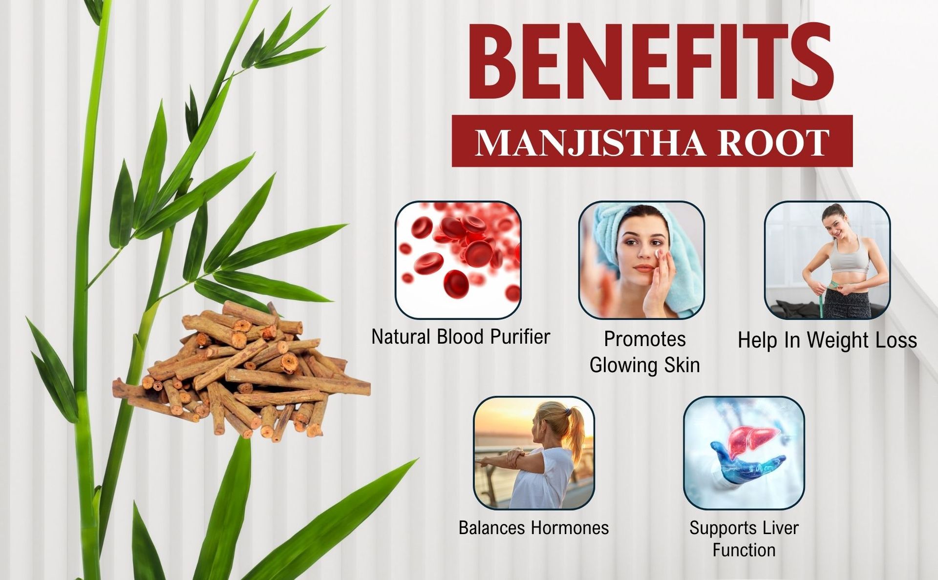Brijbooti Manjistha Root - 50g | Manjistha Root Sticks | for Eating | Majith, Indian Madder, Manjishtha, Manjishta, Manjishta, Manjista | FSSAI, GMP, ISO Certified
