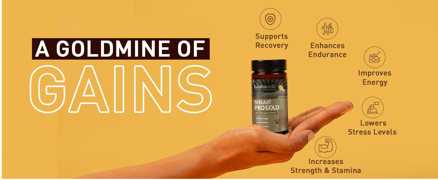 Koshaveda Shilajit Pro Gold,60 Tablets