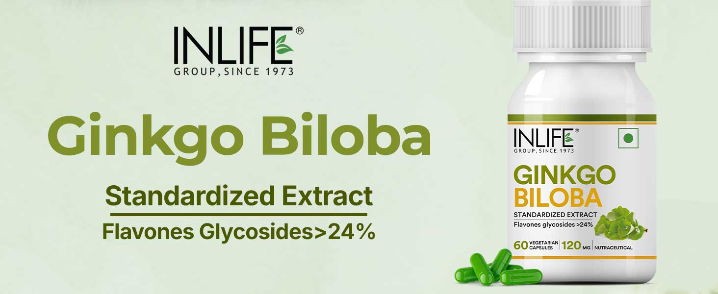 INLIFE Ginkgo Biloba Extract 120mg Nootropic Capsules for Memory, 60 Count