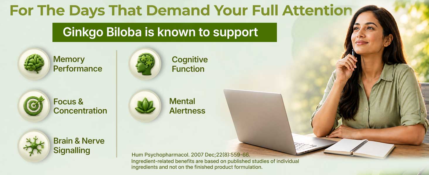 INLIFE Ginkgo Biloba Extract 120mg Nootropic Capsules for Memory, 60 Count