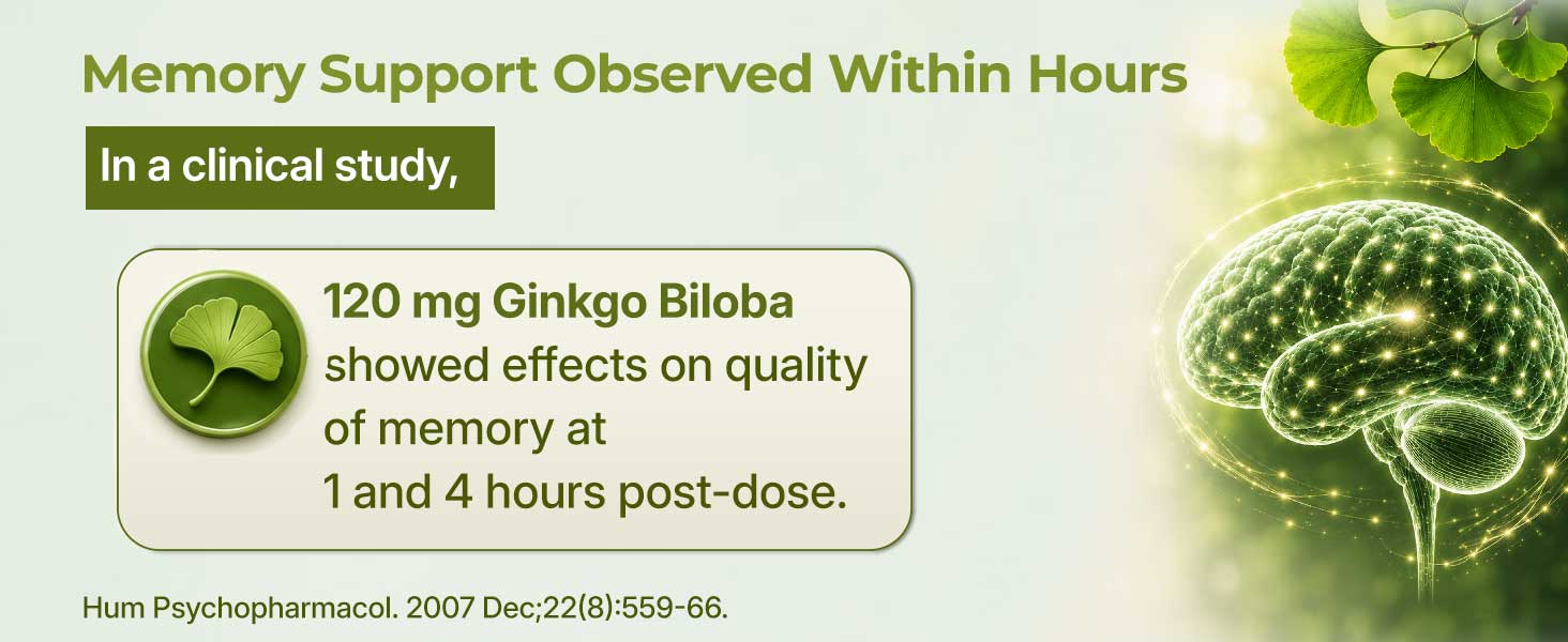 INLIFE Ginkgo Biloba Extract 120mg Nootropic Capsules for Memory, 60 Count