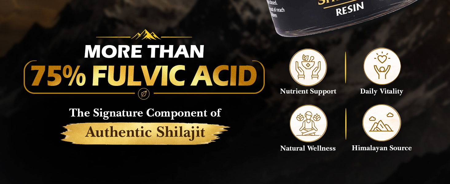 Baidyanath Ayurved Himalayan Shilajit Resin 20g | Rich in Fulvic Acid|For Strength, Power & Stamina