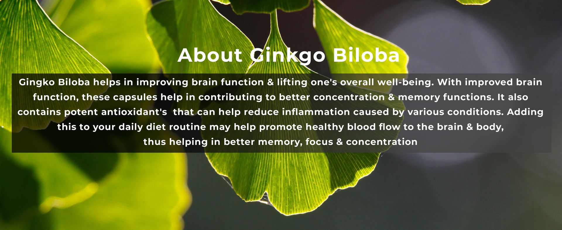 HEALTH VEDA ORGANICS PRIVATE LIMITED Ginkgo Biloba 120 mg | 60 Veg Capsules | Supports Better Concentration & Memory | For both Men & Women