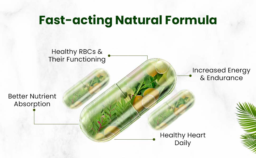 Vlado's Himalayan Organics Plant Based Iron Supplement for Women and Men | Folic Acid Tablets for Pregnancy | Hemoglobin Booster I With Vitamin B12,Vitamin C and folic acid - 90 Veg Capsules