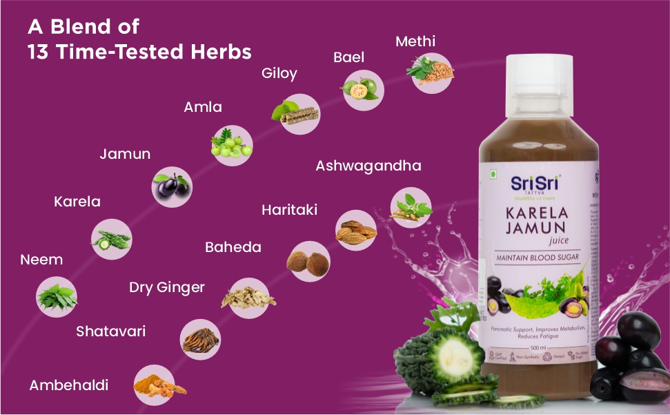 Sri Sri Tattva Karela Jamun Juice | Ayurvedic Herbal Juice for Metabolic & Digestive Wellness | Bitter Gourd & Jamun with Amla, Neem & Giloy | 500ml | Pack of 3