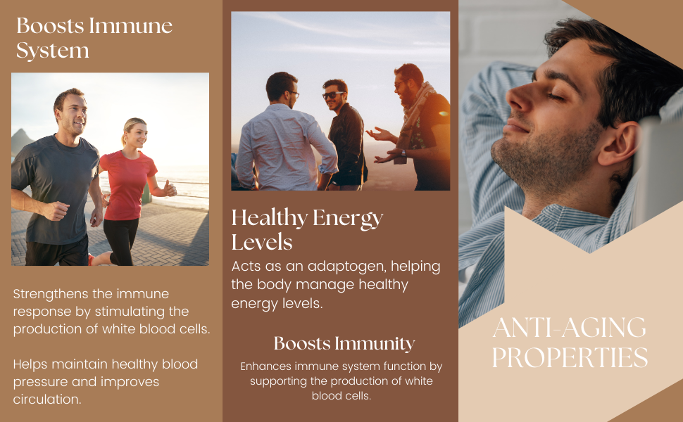Biotrex Nutraceuticals Astragalus 500mg Supplement | Heart & Kidney Health | Immunity Booster & Adaptogen | Antioxidant | Enhances Strength & Atheletic Performance | 60 Veg Capsules