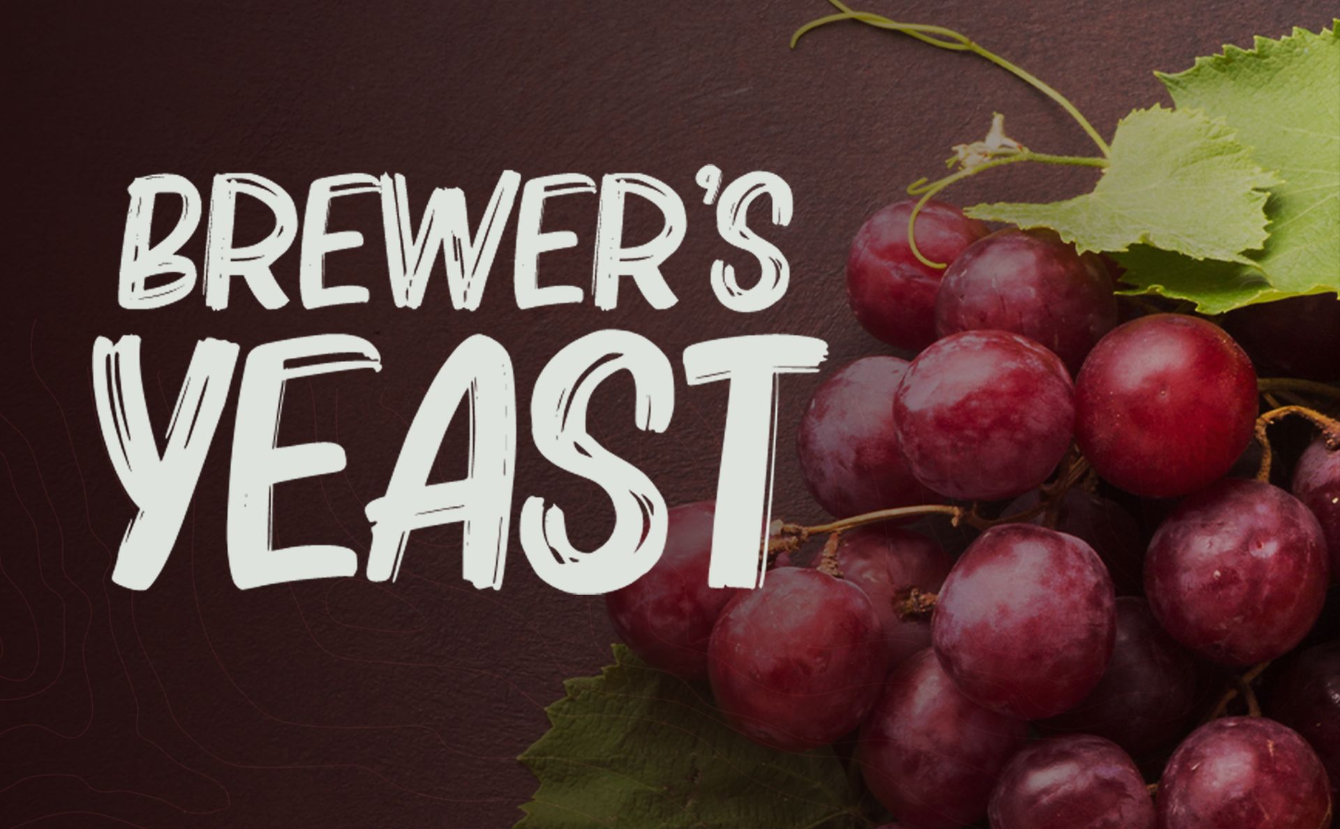 Brewer's Yeast for Making Wine | Fast Fermentation Wine Yeast | High Tolerance 15% V/V (WINE YEAST 400GM)